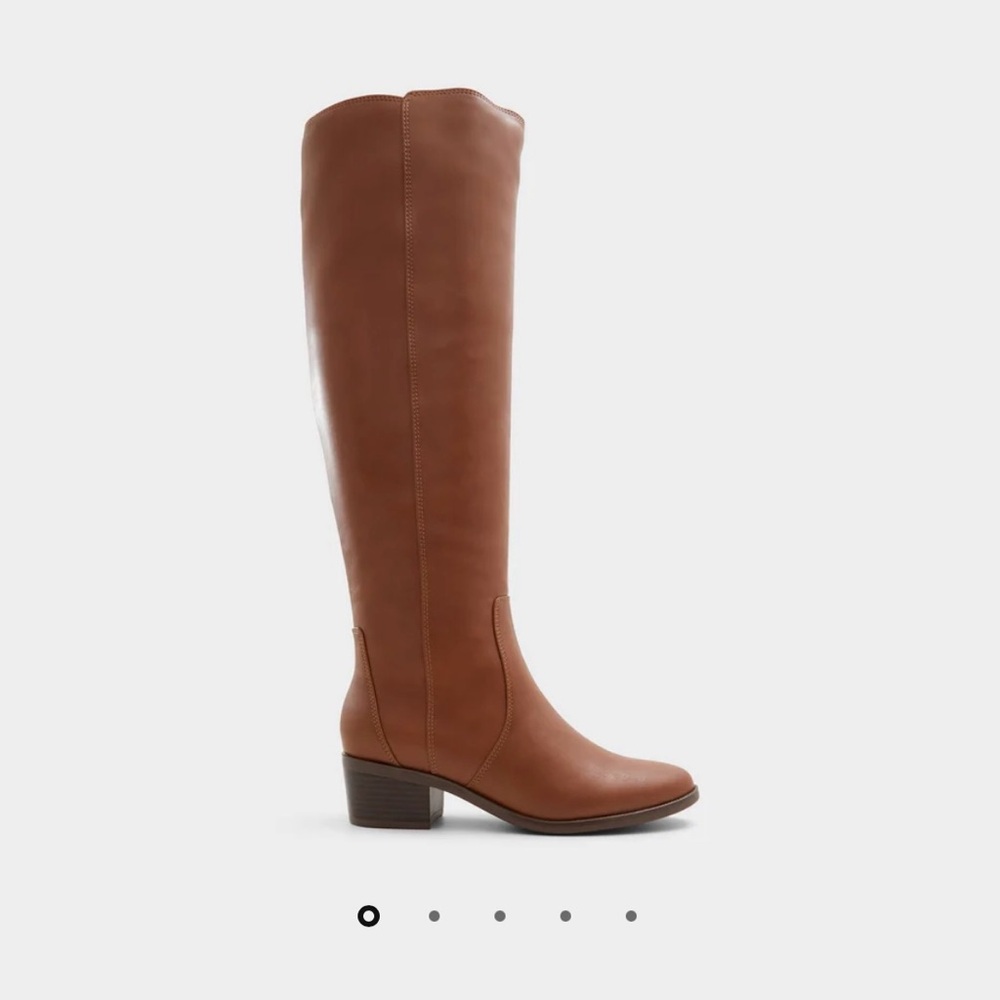 Aldo Tanerdee Brown Knee-High Leather Boots
